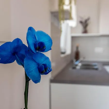 Antonio Apartament
